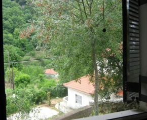 Fully equipped house Zahlorou village Kalavryta OFFER 4 ημερων 3 Διανυκτερευσεις & 1 ΔΩΡΕΑΝ